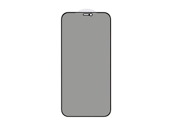 Защитное стекло 3D PRIVACY для Apple iPhone 12 Pro Max, черный (Vixion)